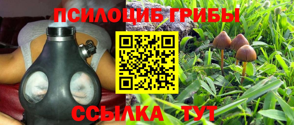 Псилоцибиновые грибы Psilocybe  что такое   Кинель  Псилоцибиновые грибы мухоморы  Вход с VPN 